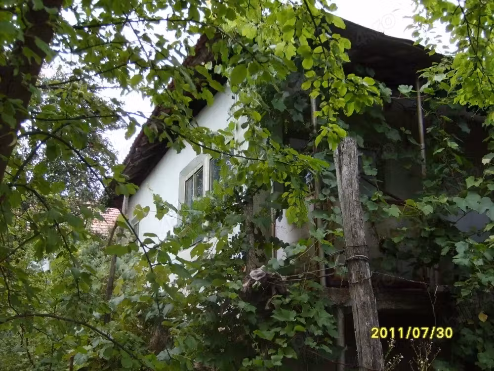 Vând casă în Bala de Jos