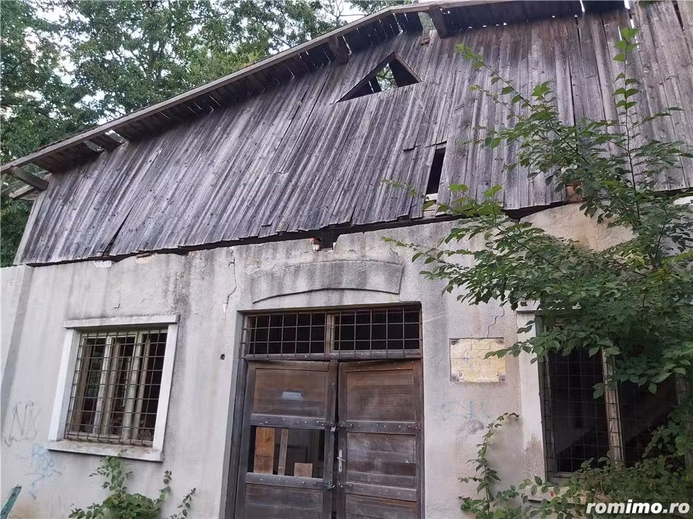 Vand casa Buzias Parc 286 mp