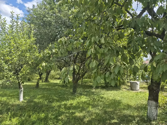 Casă Gura Beliei
