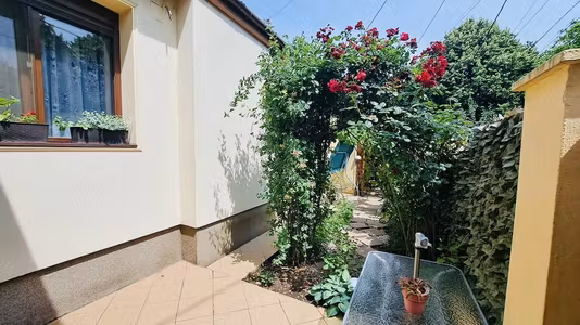 Casă Lipovei