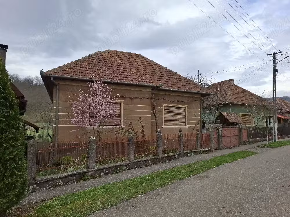 Vand casa in Plescuta