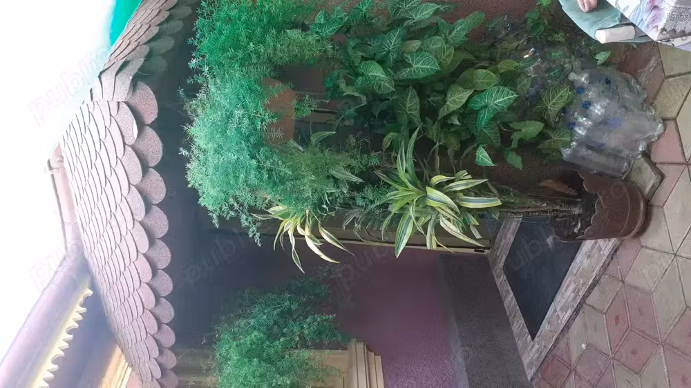 Casa de vânzare,3 camere, baie, bucătărie.