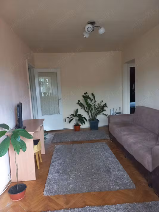Apartament Circumvalațiunii