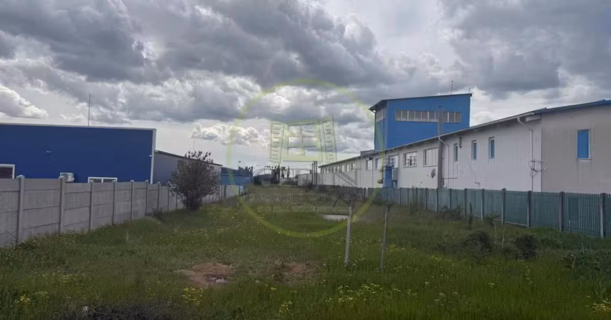 Teren Construcții intravilan de vânzare de 5000 mp, în Malu Mare