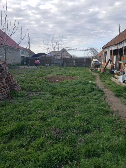 Casă Bogei