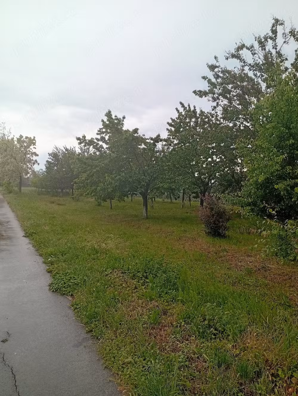 Casă ungaria Magyardombegyhaza