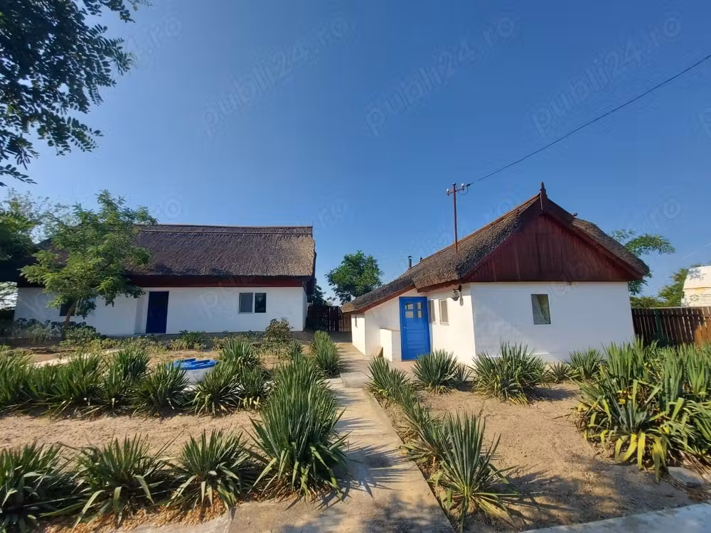 Delta Dunarii, Romania, localitatea LETEA, proprietate de VIS,
