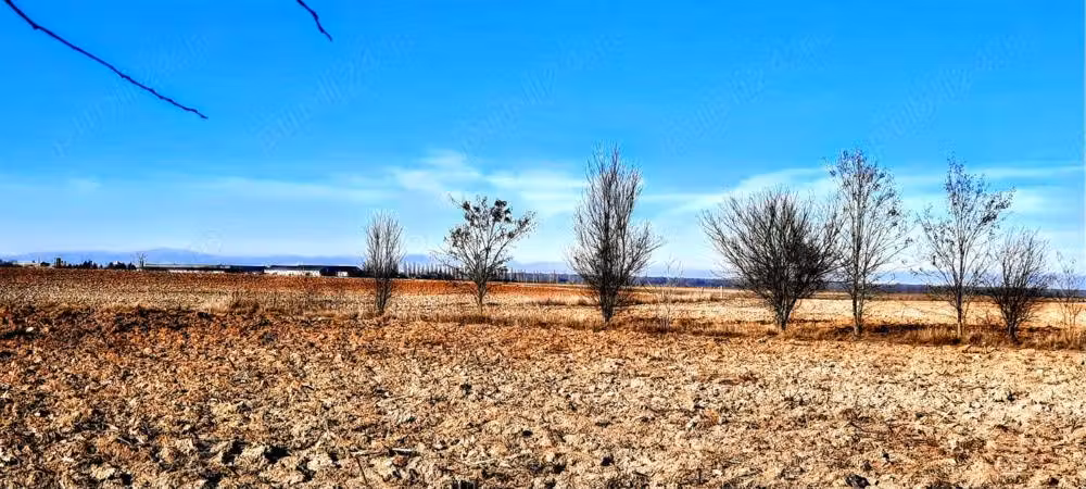 Casă · 2 camere · 41 m², Poienarii Rali, snagov