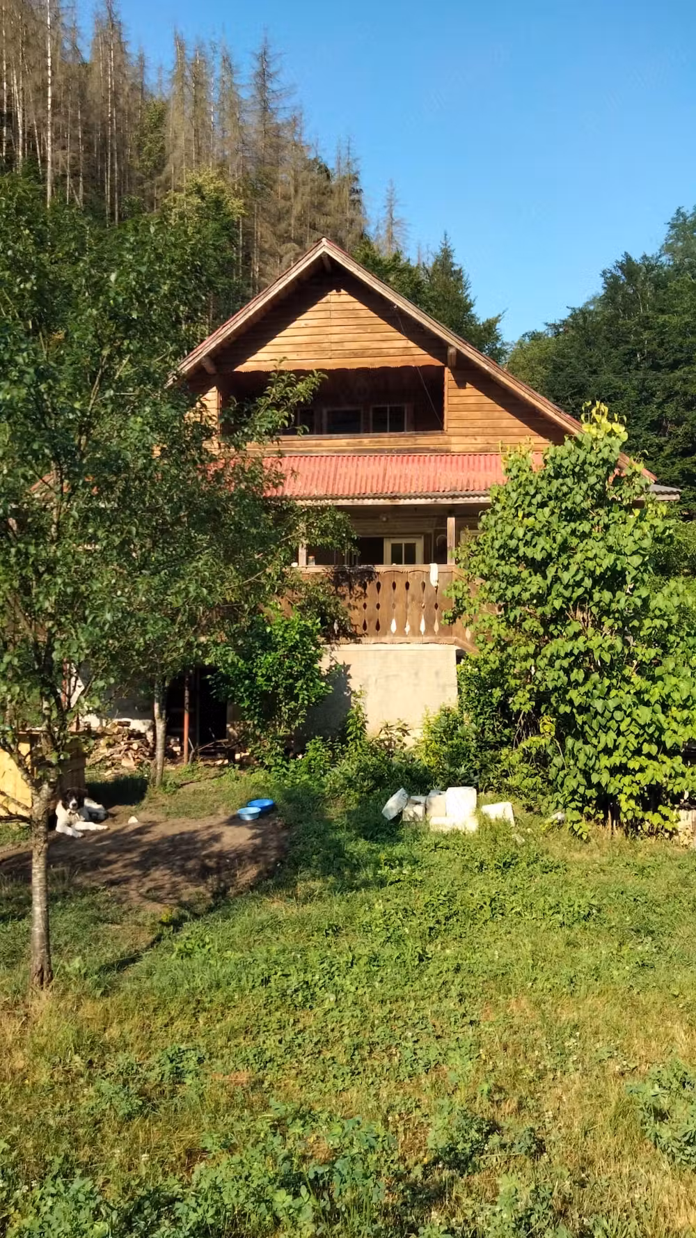 Casa de vanzare in Mihaileni Hunedoara