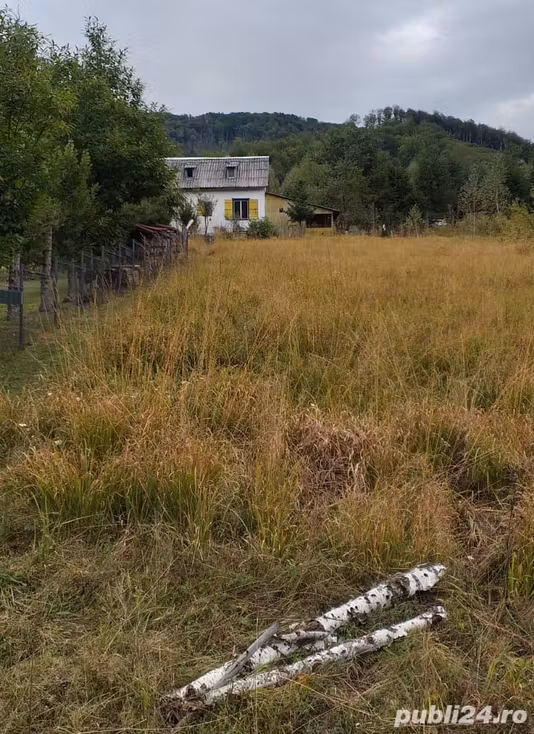 Casă Remeti