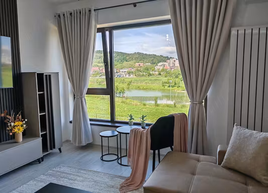 Apartament Dem Radulescu