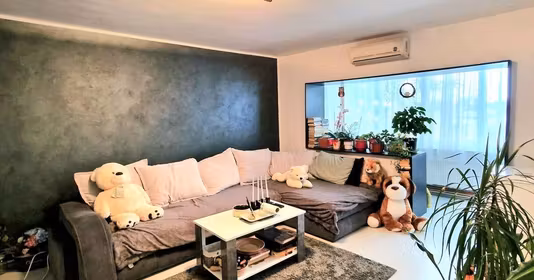 Apartament Girocului