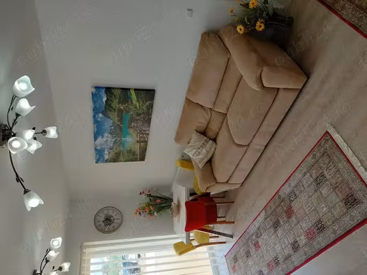 Apartament Turnisor