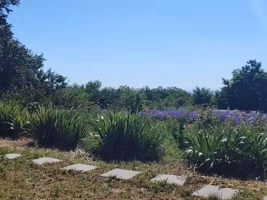 Casă Livada Mica