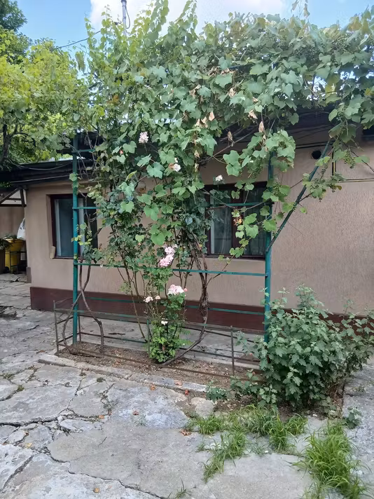 Casă Andronache