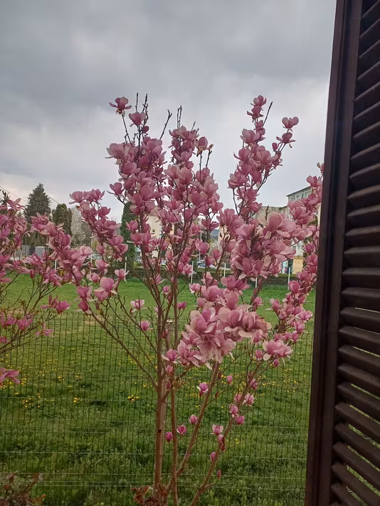 Apartament Zavoi