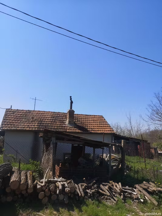 Casă Pini