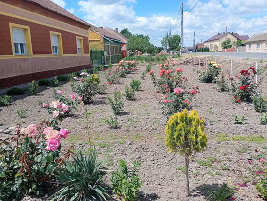 Casă Central%25c4%2583%2b