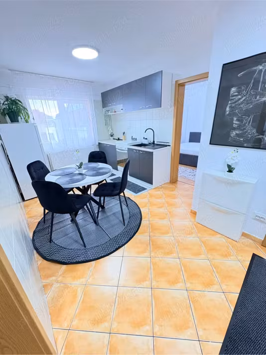 Apartament Turnișor
