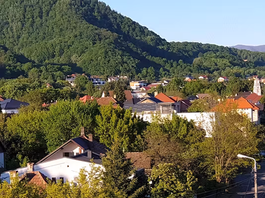 Apartament Parcu municipal