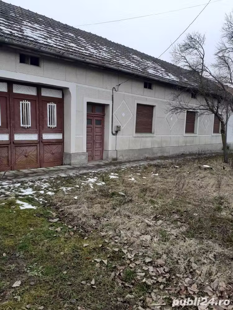 imobiliare