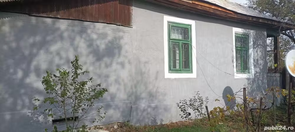 vand casa cu curte si teren in Padina Mica, Mehedinti