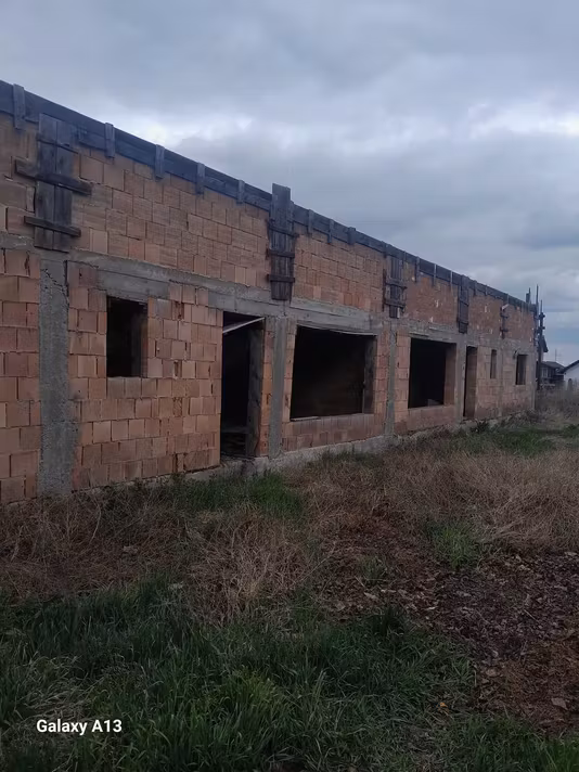 Casă Alba - Micesti