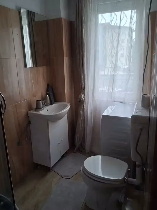 Apartament Alesd