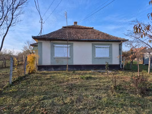 Casă Viile Satu Mare