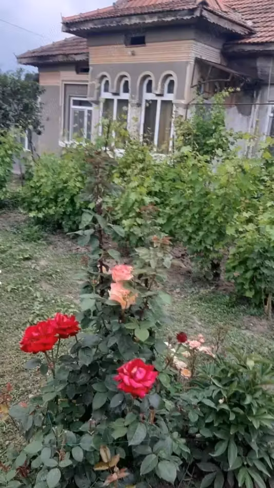 Casă Teslui