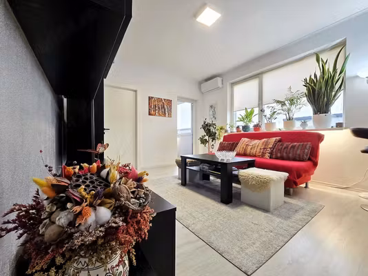 Apartament Somesului