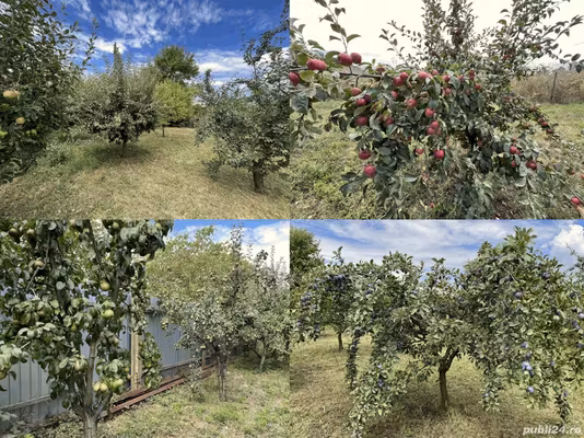 Casă Zadareni