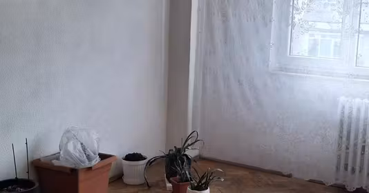 Apartament Central