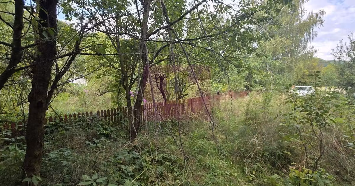 Teren Construcții intravilan de vânzare de 1500 mp, în Telega