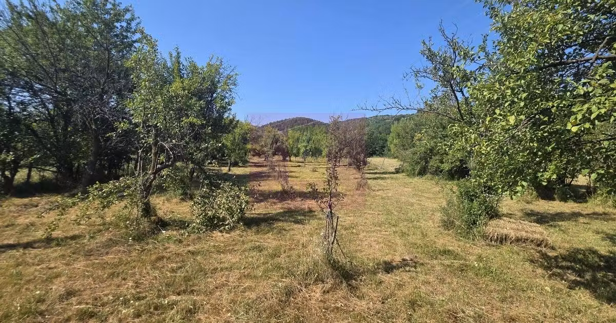 Teren Construcții intravilan de vânzare de 3375 mp, în Brebu