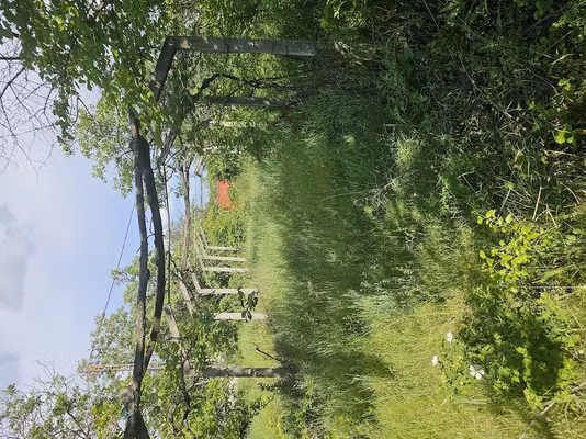 Casă Sat Puturi