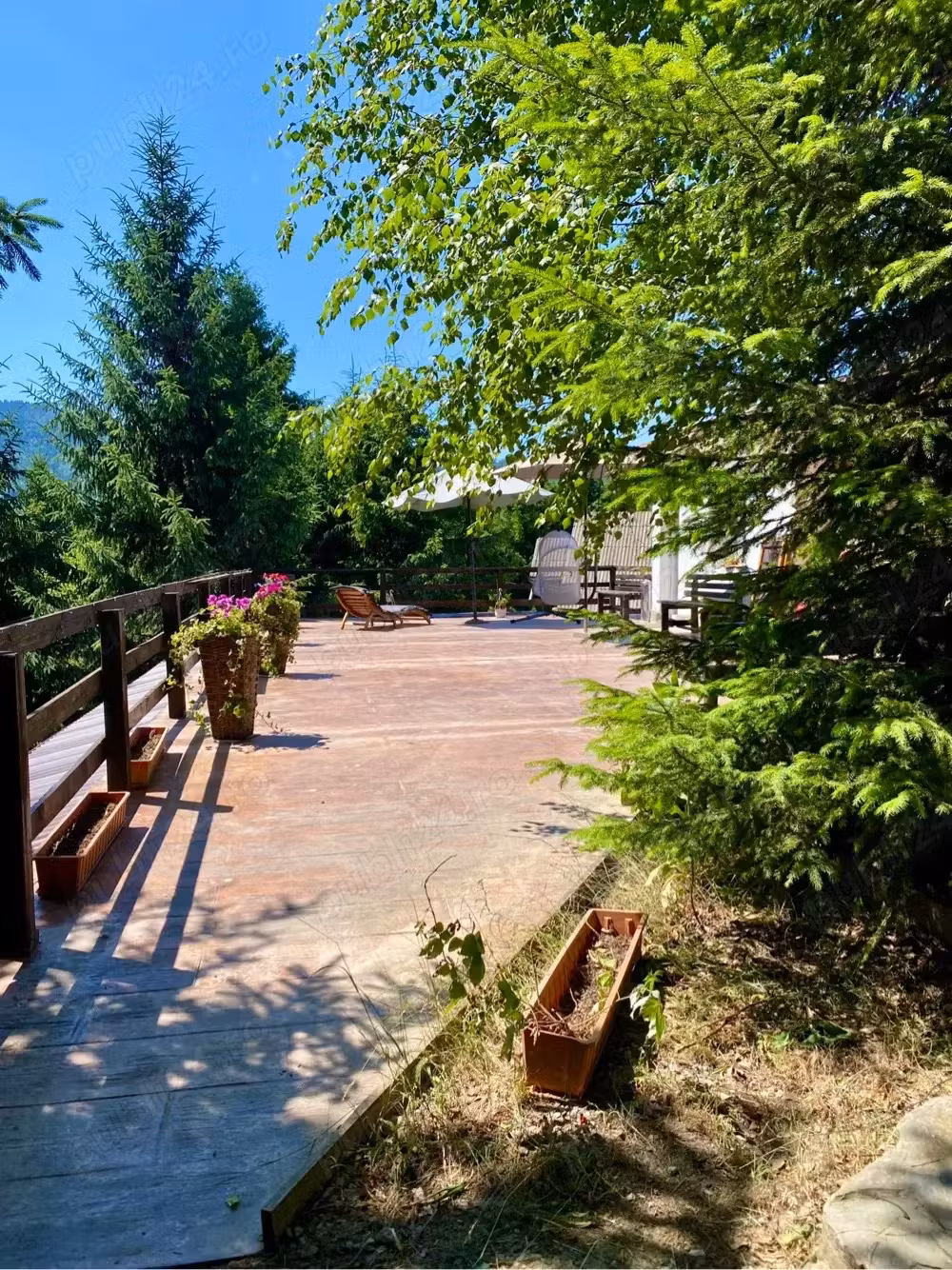 Casa Pensiune de vanzare in Colibita