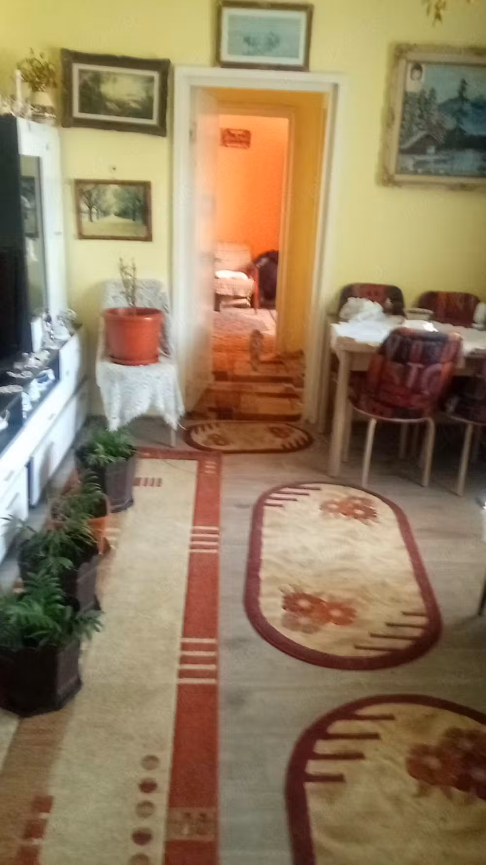 Apartament de vanzare in Caransebes