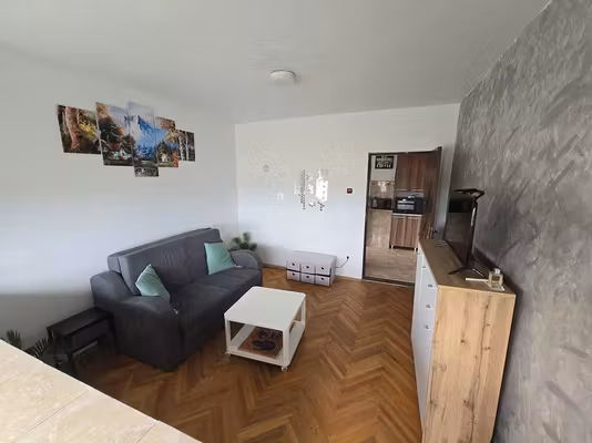 Apartament Sagului