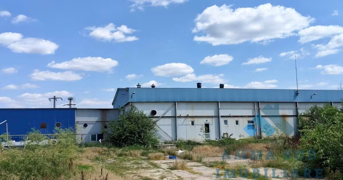 Spațiu industrial de vânzare 1000 mp în Popești-Leordeni
