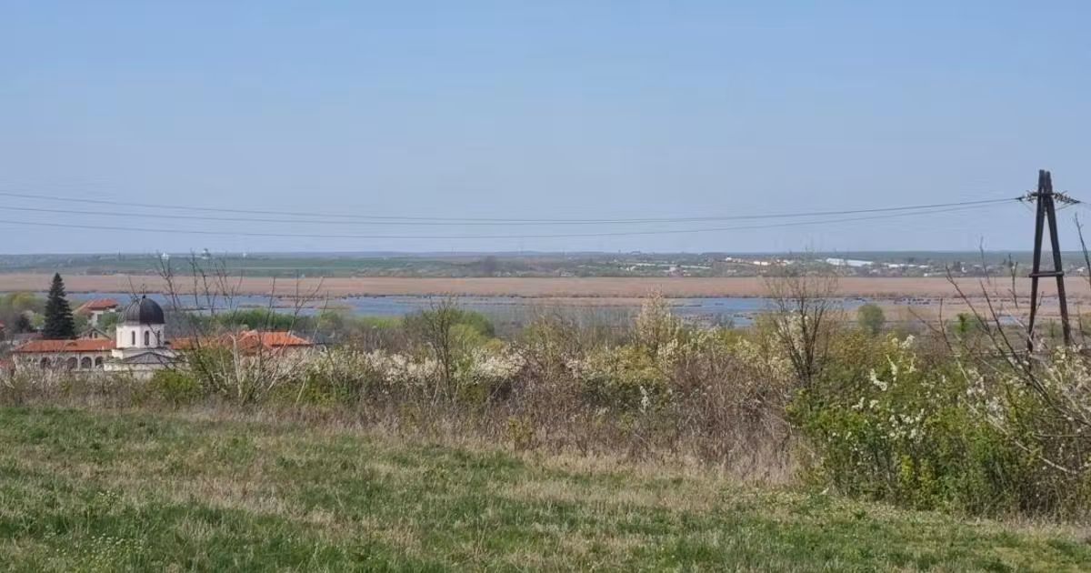 Teren Construcții intravilan de vânzare de 4300 mp, în Comana