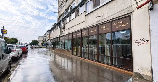 Spațiu comercial Radu Negru