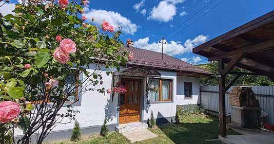 Casă Zizin