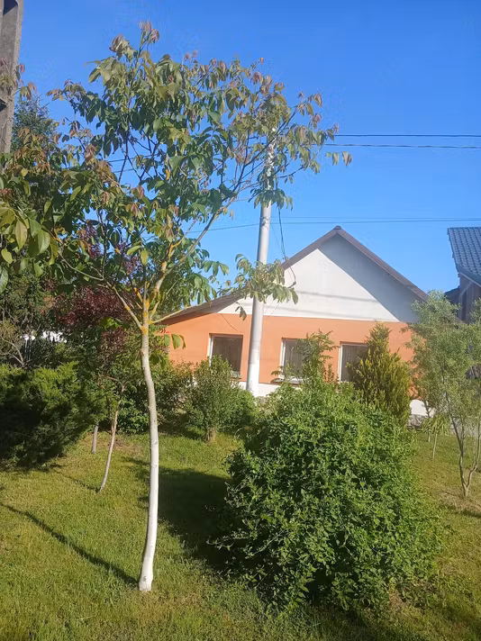 Casă Centru