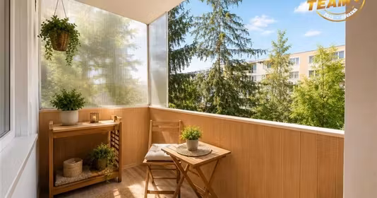 Apartament Lenin