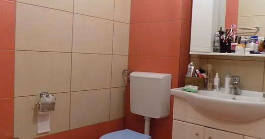 Apartament Străulești