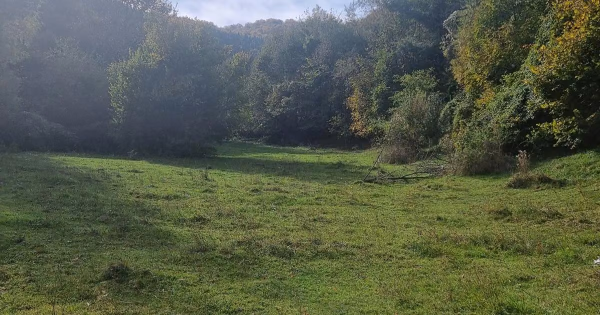 Teren agricol extravilan de vânzare de 19000 mp, în Dragoslavele