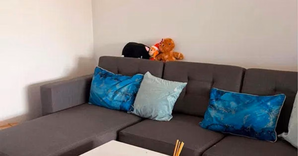 Apartament de vânzare cu 2 camere, mobilat în Florești
