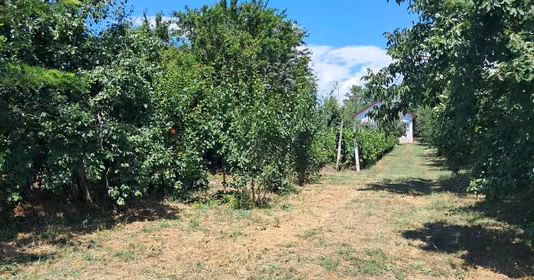 Casă Cuculeasa