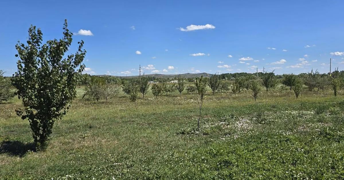 Teren Construcții intravilan de vânzare de 23020 mp, în Răscruci